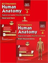 BD Chaurasia's Human Anatomy 4 Volume Set - Image 3