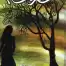 Safar Ki Shaam by Farhat Ishtiaq