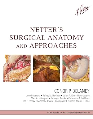 Netter's Surgical Anatomy and Approaches, 1e 1st Edition