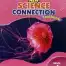New Science Connection Textbook 4 SNC (Pakistan Edition)
