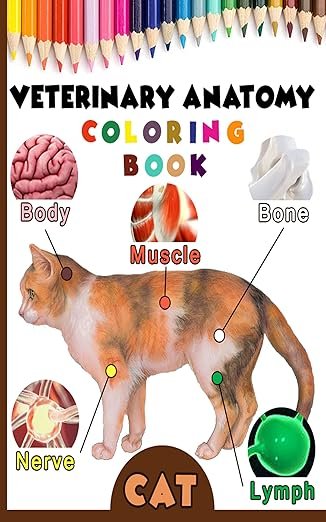 Veterinary Anatomy Colouring Book: Cat Anatomy & Veterinary Physiology Workbook