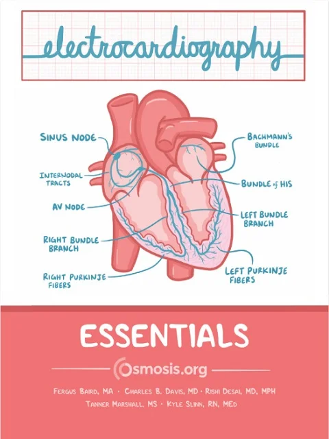 Electrocardiography ECG Essentials